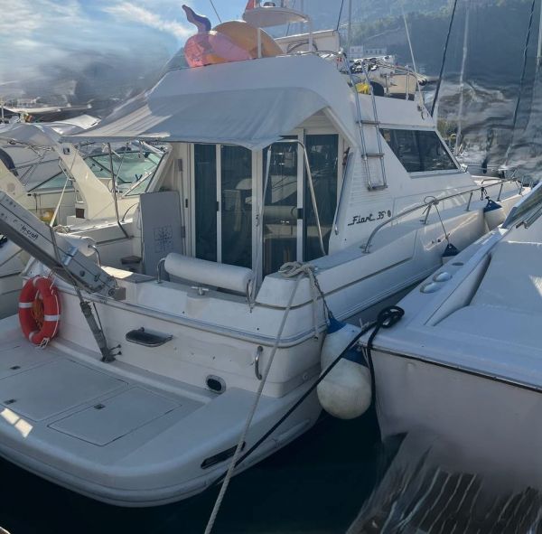 Fiart 35 fly