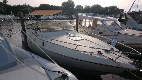Squalo 30